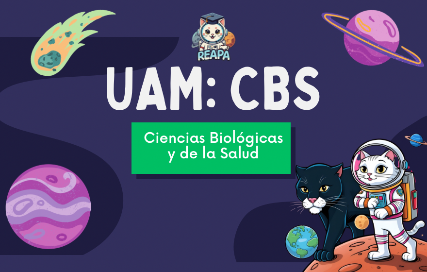 Curso